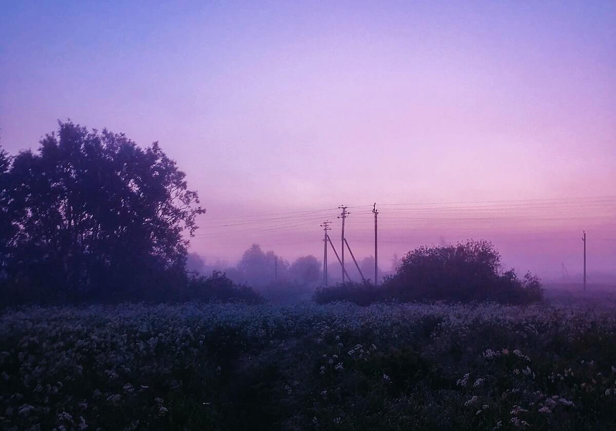 肇庆高要：“村超”勇士捧杯归 乡情照亮凯旋夜